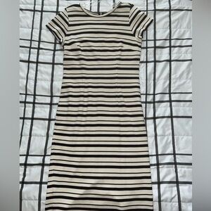 Ann Taylor Striped Black and Cream Women's Dress